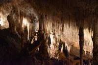 0427 Bus 1 - Mallorca_Drachenhöhle &ndash; &copy; Konrad Füssel (Eberhardt TRAVEL)