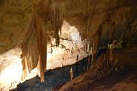 0428 Bus 1 - Mallorca_Drachenhöhle &ndash; &copy; Konrad Füssel (Eberhardt TRAVEL)