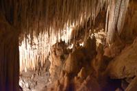 0430 Bus 1 - Mallorca_Drachenhöhle &ndash; &copy; Konrad Füssel (Eberhardt TRAVEL)