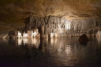 0438 Bus 1 - Mallorca_Drachenhöhle &ndash; &copy; Konrad Füssel (Eberhardt TRAVEL)