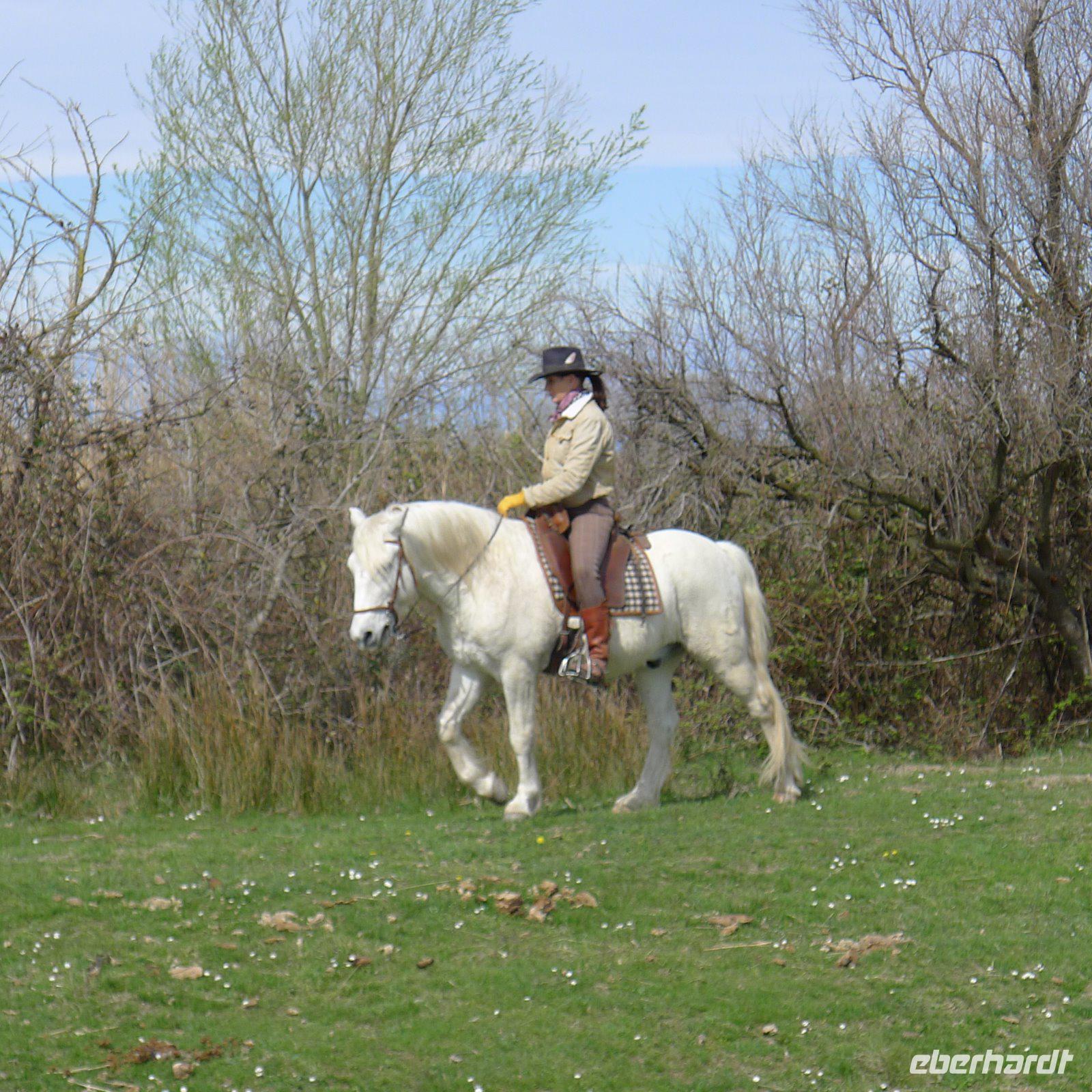 Stierzuchtfarm Camargue &ndash; &copy; Claudia Hartwich (Eberhardt TRAVEL)