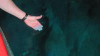 Malta - Bootsfahrt zur Blauen Grotte - das Wasser ist wirklich blau &ndash; &copy; Annette Weise (Eberhardt TRAVEL)