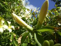 San Anton Garden &ndash; &copy; Anne Hiecke (Eberhardt TRAVEL)