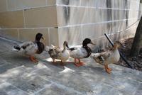 Cremona-Olivenfarm &ndash; &copy; Manuela Kreuz (Eberhardt TRAVEL)