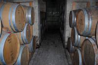 Weingut Meridiana &ndash; &copy; Manuela Kreuz (Eberhardt TRAVEL)