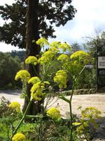 Frühlingserwachen &ndash; &copy; Anne Sturm (Eberhardt TRAVEL)