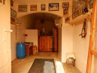 Pferd im Wohnzimmer &ndash; &copy; Rico Manns (Eberhardt TRAVEL)
