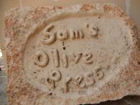 Olivenfarm &ndash; &copy; Rico Manns (Eberhardt TRAVEL)