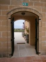 im Weingut &ndash; &copy; Heike Meinhold (Eberhardt TRAVEL)