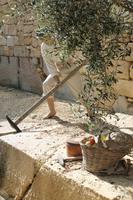 Limestone Heritage (6) &ndash; &copy; Kathrin Kubik (Eberhardt TRAVEL)