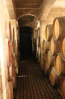 Meridiana Wine Estate (10) &ndash; &copy; Kathrin Kubik (Eberhardt TRAVEL)