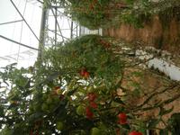 Malta Sunrip &ndash; &copy; Bianka Kirsche (Eberhardt TRAVEL)