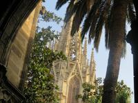 Barcelona – Kathedrale Santa Eulalia – Kreuzgang &ndash; &copy; Marion Kottlos (Eberhardt TRAVEL)