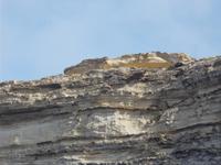 DSCN0244 Krokodil Felsen &ndash; &copy; Kerstin Veit (Eberhardt TRAVEL)