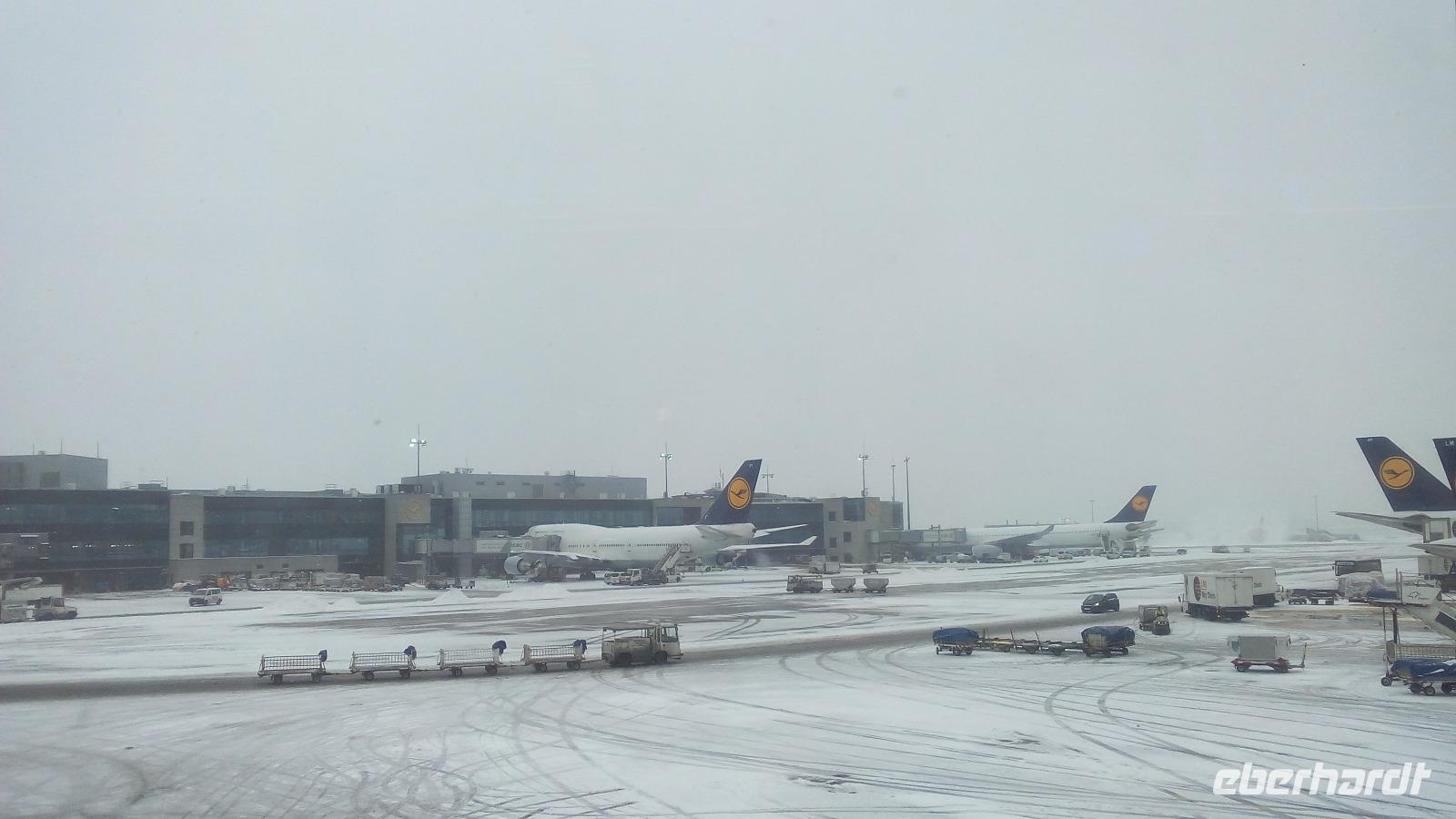 Frankfurt, Flughafen &ndash; &copy; Gisela Gerlach (Eberhardt TRAVEL)