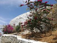 Mykonos &ndash; &copy; Madlen Lohr (Eberhardt TRAVEL)