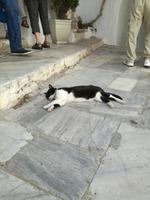 Mykonos &ndash; &copy; Madlen Lohr (Eberhardt TRAVEL)