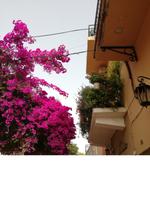 Chania, Kreta