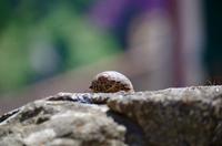 fullsizeoutput_56ed &ndash; &copy; Ngoc Anh Nguyen (Eberhardt TRAVEL)