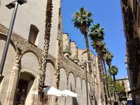 Barcelona &ndash; &copy; Ngoc Anh Nguyen (Eberhardt TRAVEL)
