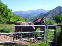 Korsika &ndash; &copy; Anne-Katrin Müller (Eberhardt TRAVEL)