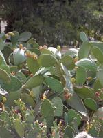 &copy; Claudia Rossin (Eberhardt TRAVEL)