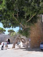 &copy; Claudia Rossin (Eberhardt TRAVEL)