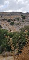 Auf der Insel Rhodos &ndash; &copy; Annette Zocher (Eberhardt TRAVEL)