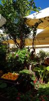 Malta - Mdina - Eingangsbereich des Restaurants / Cafè FONTANELLA &ndash; &copy; Annette Zocher (Eberhardt TRAVEL)