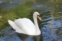 Im San Anton-Garten &ndash; &copy; Romy Ginzel (Eberhardt TRAVEL)