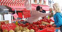 Melonen und Tomaten