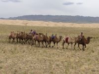 auf dem Weg zur Chongor–Sanddüne: eine Karavane &ndash; &copy; Andrey Kulikov (Eberhardt TRAVEL)