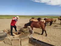 Trinkstelle für Pferde, Wüste Gobi &ndash; &copy; Andrey Kulikov (Eberhardt TRAVEL)