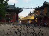 Gandan Kloster - Ulaanbaatar &ndash; &copy; Maria Hoyer (Eberhardt TRAVEL)