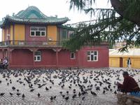 Gandan Kloster - Ulaanbaatar &ndash; &copy; Maria Hoyer (Eberhardt TRAVEL)