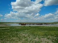 Tag 3 &ndash; &copy; Maria Hoyer (Eberhardt TRAVEL)