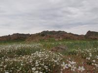 Tag 4 &ndash; &copy; Maria Hoyer (Eberhardt TRAVEL)