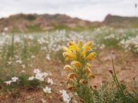 Tag 4 &ndash; &copy; Maria Hoyer (Eberhardt TRAVEL)