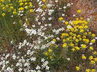 Tag 4 &ndash; &copy; Maria Hoyer (Eberhardt TRAVEL)