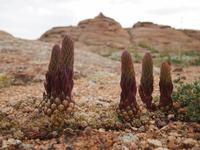 Tag 4 - Das Land der kleinen Steine &ndash; &copy; Maria Hoyer (Eberhardt TRAVEL)