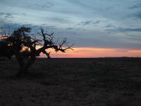 Tag 5 - Sonnenaufgang &ndash; &copy; Maria Hoyer (Eberhardt TRAVEL)