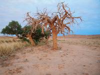 Tag 5 - Sonnenaufgang &ndash; &copy; Maria Hoyer (Eberhardt TRAVEL)