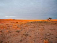 Tag 5 - Sonnenaufgang &ndash; &copy; Maria Hoyer (Eberhardt TRAVEL)