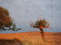 Tag 5 - Sonnenaufgang &ndash; &copy; Maria Hoyer (Eberhardt TRAVEL)