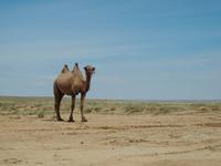 Tag 5 &ndash; &copy; Maria Hoyer (Eberhardt TRAVEL)