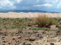 Tag 7 - Sanddüne - Wüste Gobi &ndash; &copy; Maria Hoyer (Eberhardt TRAVEL)