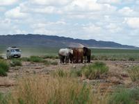 Tag 7 - Wüste Gobi &ndash; &copy; Maria Hoyer (Eberhardt TRAVEL)