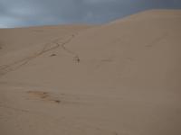 Tag 7 - Sanddüne &ndash; &copy; Maria Hoyer (Eberhardt TRAVEL)