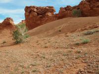 Tag 8 - Bayanzag - Dinosaurierfundstelle &ndash; &copy; Maria Hoyer (Eberhardt TRAVEL)