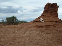 Tag 8 - Sauxalwald &ndash; &copy; Maria Hoyer (Eberhardt TRAVEL)